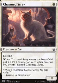 Charmed Stray - 