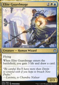 Elite Guardmage - 