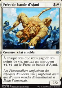 Frre de bande d'Ajani - 