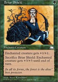 Briar Shield - 