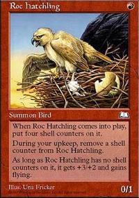 Roc Hatchling - 