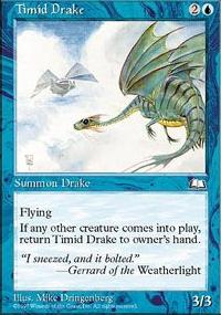 Timid Drake - 