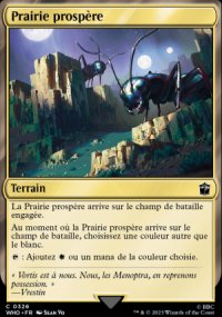 Prairie prospre - 