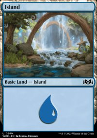 Island 2 - Wilds of Eldraine