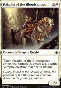 Paladin of the Bloodstained - 