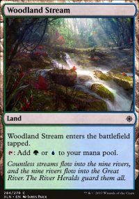 Woodland Stream - 