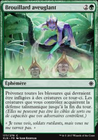 Brouillard aveuglant - 