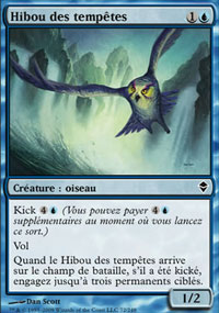 Hibou des temptes - 