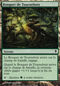 Bosquet de Tournebois - 