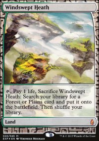 Windswept Heath - Zendikar Expeditions