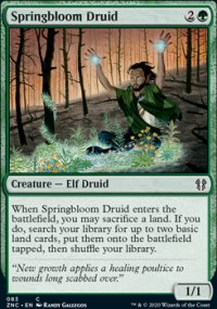 Springbloom Druid - 