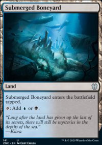 Submerged Boneyard - 