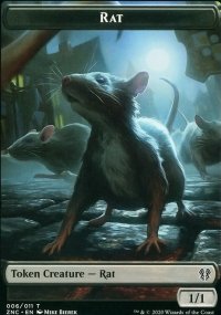 Rat - 