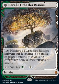 Halliers  l'Ore des Rasoirs - 