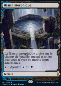 Bassin morphique - 