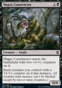 Hagra Constrictor - 