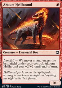 Akoum Hellhound 1 - Zendikar Rising