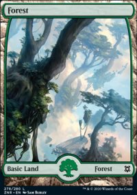 Forest 1 - Zendikar Rising