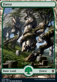 Forest 2 - Zendikar Rising