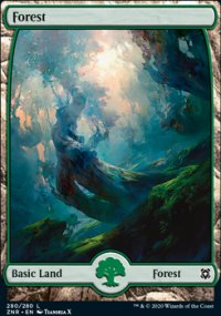 Forest 3 - Zendikar Rising