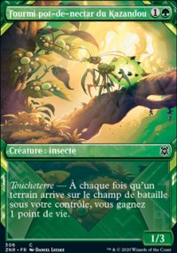 Fourmi pot-de-nectar du Kazandou - 