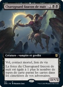 Charognard faucon de nuit - 